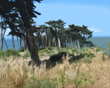 HAL BOHNER - "Point Lobos, San Francisco"