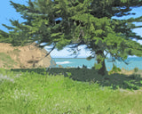 HAL BOHNER - "An Afternoon at Mori Point"