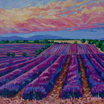 Heather Nagy - "Sunset over the Lavender field"