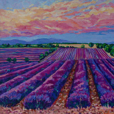 Heather Nagy - "Sunset over the Lavender field"