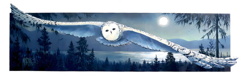 Maria Finlay Larson - "Night Flight"