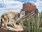 Theresa Poalucci - "Untamed Territory"