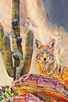 Theresa Poalucci - "Curious Coyote"
