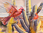 Theresa Poalucci - "Taking Off"