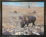 Joni Emily - "The Guardians"