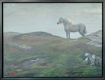 Joni Emily - "Sentinel at Connemara"