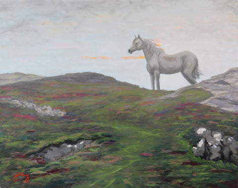 Joni Emily - "Sentinel at Connemara"