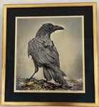 Sandy Brown Jensen - "Raven Master of Heceta Head"