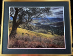 Sandy Brown Jensen - "The Peaceable Kingdom, North Umpqua"