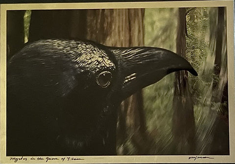 Sandy Brown Jensen - "Mystos in the Grove of Titans"