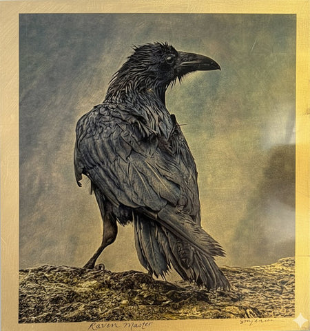 Sandy Brown Jensen - "Raven Master of Heceta Head"
