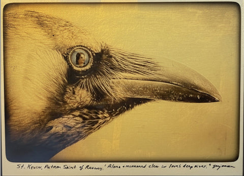 Sandy Brown Jensen - "St. Kevin, Patron Saint of Ravens: "Alone & mirrored clear in love's deep river.""
