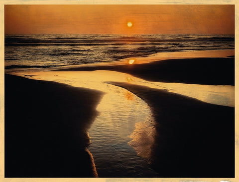 Sandy Brown Jensen - "On the Edge of the Oregon World"