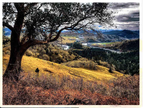Sandy Brown Jensen - "The Peaceable Kingdom, North Umpqua"
