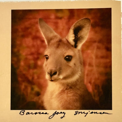 Sandy Brown Jensen - "Barossa Joey"