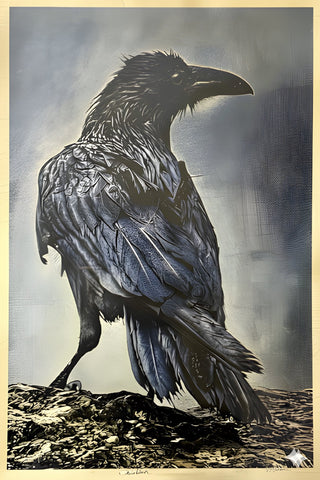 Sandy Brown Jensen - "Obsidian Gold Raven"