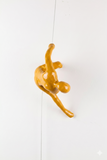 Ancizar Marin - "Climber 11"