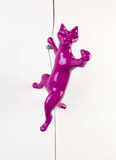 Ancizar Marin - "Climber Cat 02"