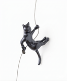 Ancizar Marin - "Climber Cat 05"
