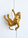 Ancizar Marin - "Climber Dog 03"