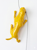 Ancizar Marin - "Climber Dog 02"