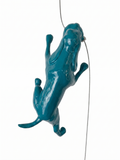 Ancizar Marin - "Climber Dog 02"