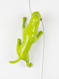 Ancizar Marin - "Climber Dog 02"