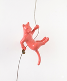 Ancizar Marin - "Climber Cat 05"