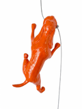 Ancizar Marin - "Climber Dog 02"