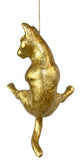 Ancizar Marin - "Climber Cat 01"