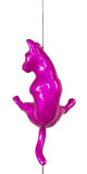Ancizar Marin - "Climber Cat 01"