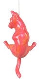 Ancizar Marin - "Climber Cat 01"