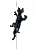 Ancizar Marin - "Climber Cat 02"
