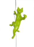 Ancizar Marin - "Climber Cat 02"