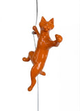 Ancizar Marin - "Climber Cat 02"