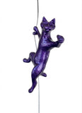 Ancizar Marin - "Climber Cat 02"