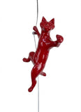 Ancizar Marin - "Climber Cat 02"