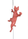 Ancizar Marin - "Climber Cat 02"