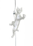 Ancizar Marin - "Climber Cat 02"
