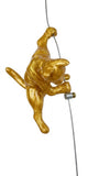 Ancizar Marin - "Climber Cat 03"