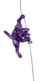 Ancizar Marin - "Climber Cat 03"