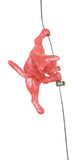 Ancizar Marin - "Climber Cat 03"