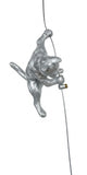 Ancizar Marin - "Climber Cat 03"