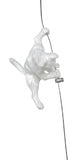 Ancizar Marin - "Climber Cat 03"