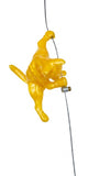 Ancizar Marin - "Climber Cat 03"