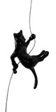 Ancizar Marin - "Climber Cat 05"