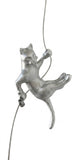 Ancizar Marin - "Climber Cat 05"