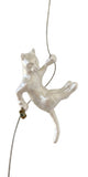 Ancizar Marin - "Climber Cat 05"