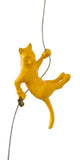 Ancizar Marin - "Climber Cat 05"
