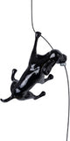 Ancizar Marin - "Climber Dog 01"